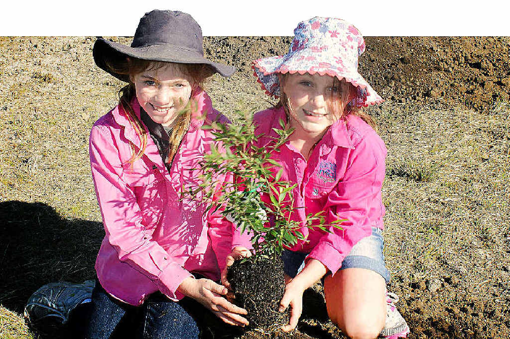 GREEN THUMBS: Students helping plant a native tree on National Tree Day. GREEN THUMBS: Students helping plant a native tree on National Tree Day.